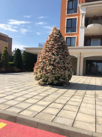 Apartment In Prestige Fort Beach 스베티 블라스 외부 사진